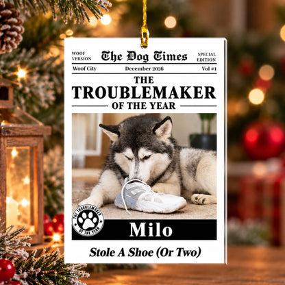 Personalized Pet Newspaper Photo Ornament – Custom Dog & Cat Troublemaker of the Year Christmas Gift