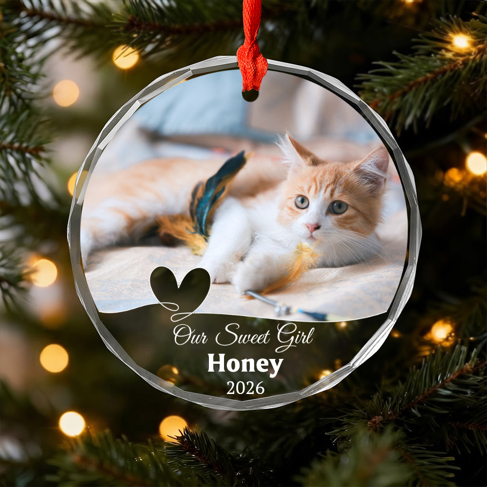 Personalized Dog Photo Crystal Ornament, 2 Sides Printed Custom Pet Glass Christmas Ornament, Dog Name Keepsake, Pet Lover Gift