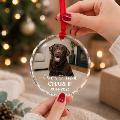 Personalized Pet Memorial Photo Ornament, Custom 2-Sided Printed Dog Memorial Ornament, Pet Loss Sympathy Gift, Forever Loved Pet Keepsake, Christmas Gift