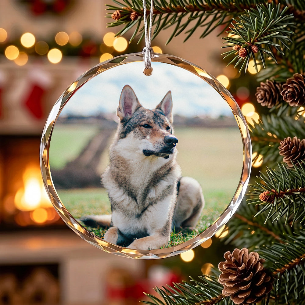 Personalized Dog Photo Crystal Ornament, 2 Sides Printed Custom Pet Glass Christmas Ornament, Dog Name Keepsake, Pet Lover Gift