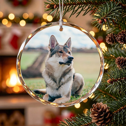 Personalized Dog Photo Crystal Ornament, 2 Sides Printed Custom Pet Glass Christmas Ornament, Dog Name Keepsake, Pet Lover Gift
