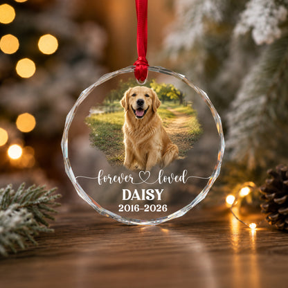 Personalized Pet Memorial Photo Ornament, Custom Dog Memorial Ornament, Pet Loss Sympathy Gift, Forever Loved Pet Keepsake, Christmas Gift