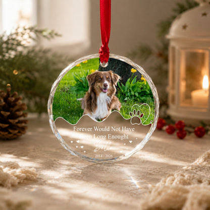 Personalized Pet Memorial Crystal Ornament, 2 Sides Printed Custom Dog Photo Glass Ornament, Pet Loss Gift, Dog Remembrance Keepsake