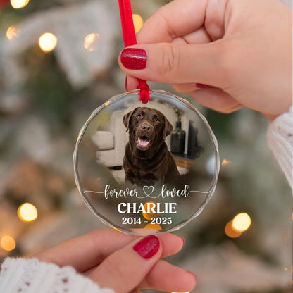 Personalized Pet Memorial Photo Ornament, Custom Dog Memorial Ornament, Pet Loss Sympathy Gift, Forever Loved Pet Keepsake, Christmas Gift