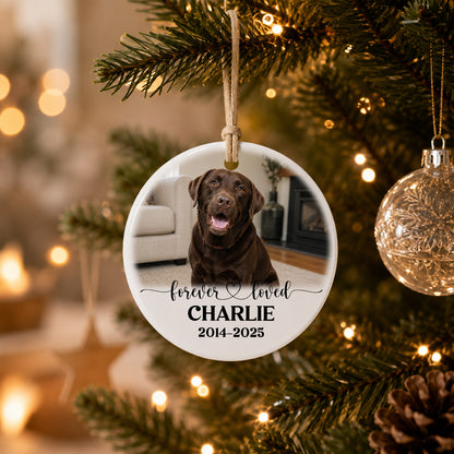 Personalized Pet Memorial Photo Ornament, Custom 2-Sided Printed Dog Memorial Ornament, Pet Loss Sympathy Gift, Forever Loved Pet Keepsake, Christmas Gift