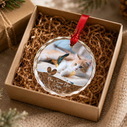 Personalized Dog Photo Crystal Ornament, 2 Sides Printed Custom Pet Glass Christmas Ornament, Dog Name Keepsake, Pet Lover Gift