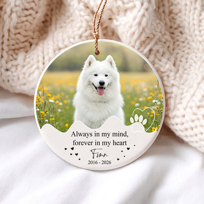 Personalized Pet Memorial Crystal Ornament, 2 Sides Printed Custom Dog Photo Glass Ornament, Pet Loss Gift, Dog Remembrance Keepsake
