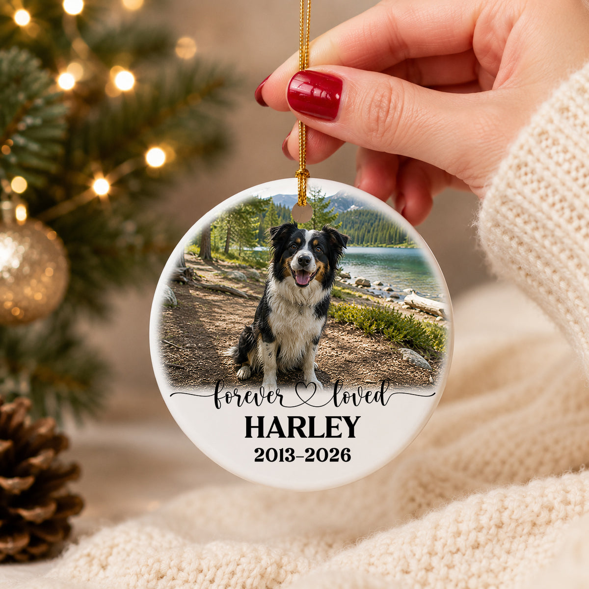 Personalized Pet Memorial Photo Ornament, Custom 2-Sided Printed Dog Memorial Ornament, Pet Loss Sympathy Gift, Forever Loved Pet Keepsake, Christmas Gift